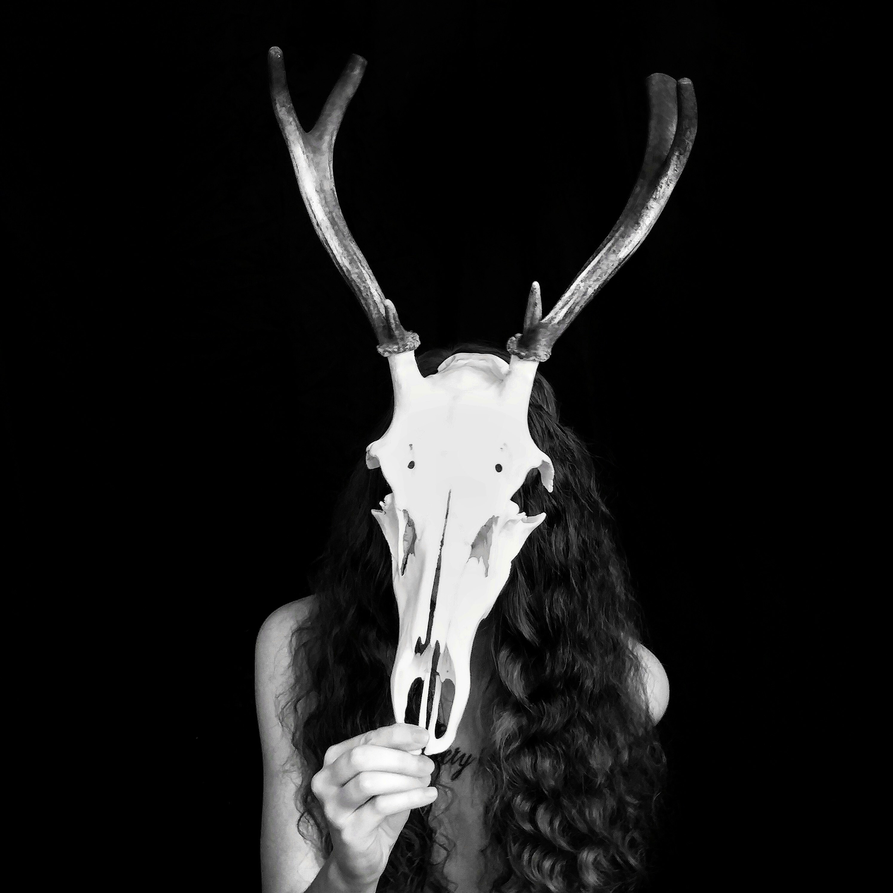 Ethically Sourced Animal Oddities by KazsCreations on Etsy