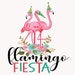 Flamingo Fiesta