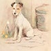 Home Decor Digital Downloads Australian Mammals Collection of 182 Public Domain Images Home Furnishing Australian Animal Images