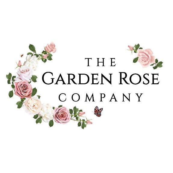 Thegardenrosecompany Etsy UK Thegardenrosecompany Etsy UK