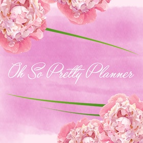 OhSoPrettyPlanner | Etsy