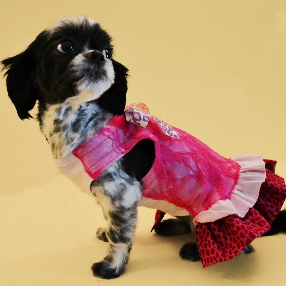 Fetch Dog Fashions is a dog clothing boutique by FetchDogFashions