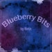 BlueberryBits