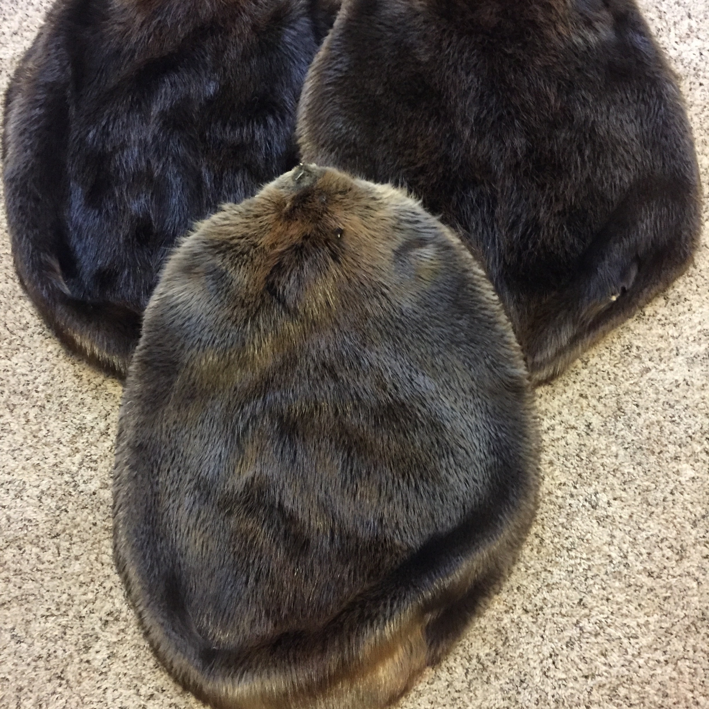 XXXL Free Shipping! Tanned Hide Fur Northern Minnesota Beaver Pelt 