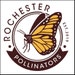 Rochester Pollinators