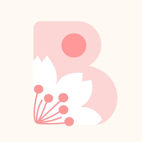 BroiderDesigns store logo