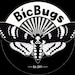 BicBugs