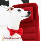 LADogStore