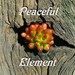 PeacefulElement