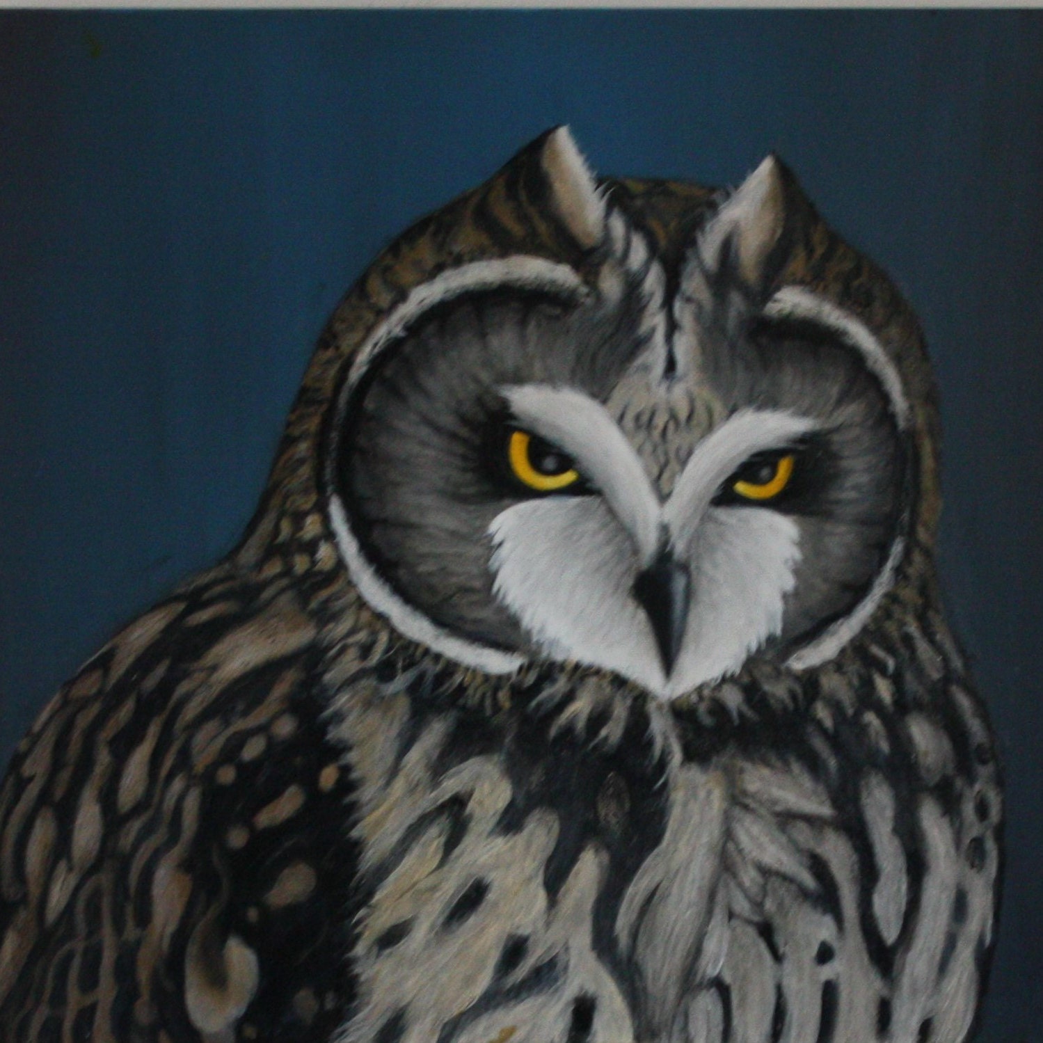 Wildlife and Abstract Drawing and Painting Prints by CJWeissArt