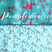 pamplemoussecreation