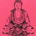 PinkBuddhas