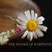 TheWoodsOfKneptune