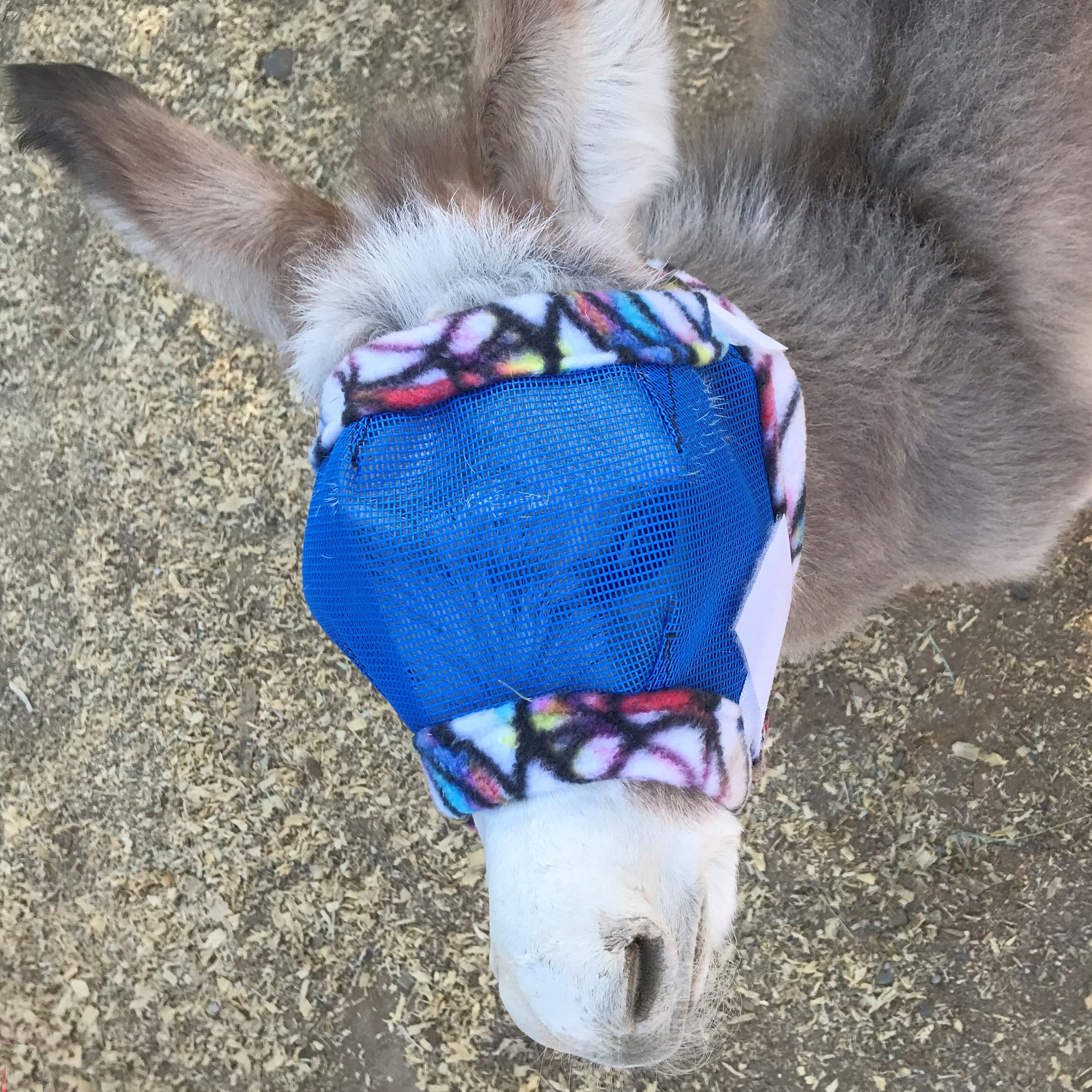 Custom Made to Order Fly Masks for Horses & by MagesTreasureChest