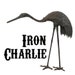 Iron Charlie