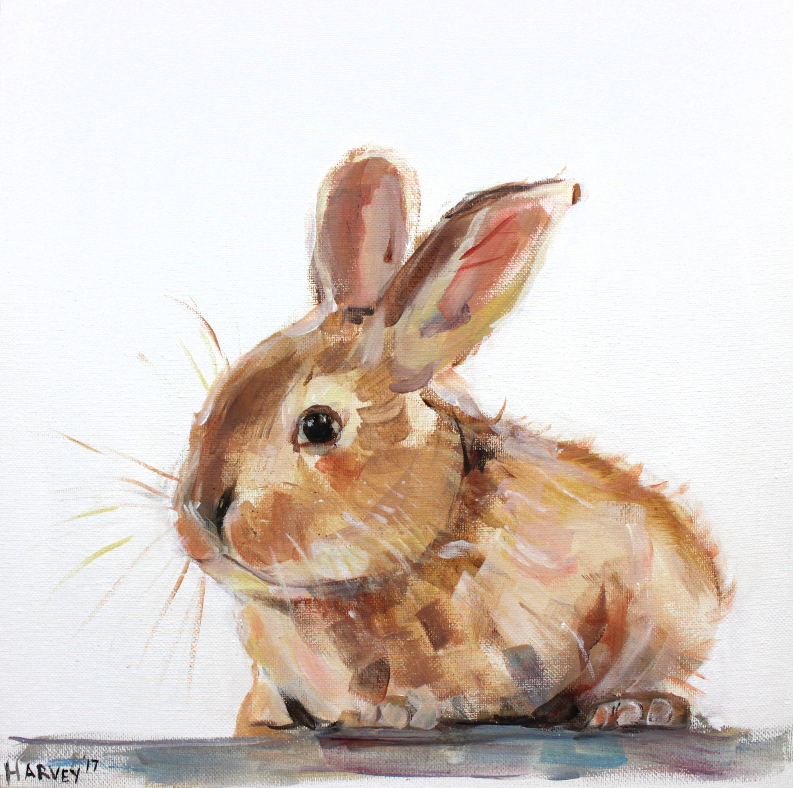 original baby animal art prints on canvas by AdorableHarvey