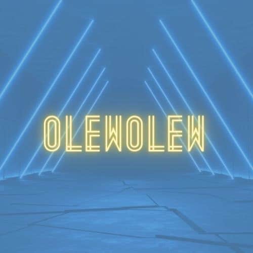 OlewOlew store logo
