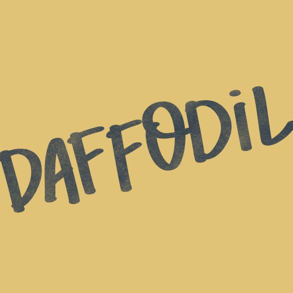 DaffodilLetteringCo - Etsy