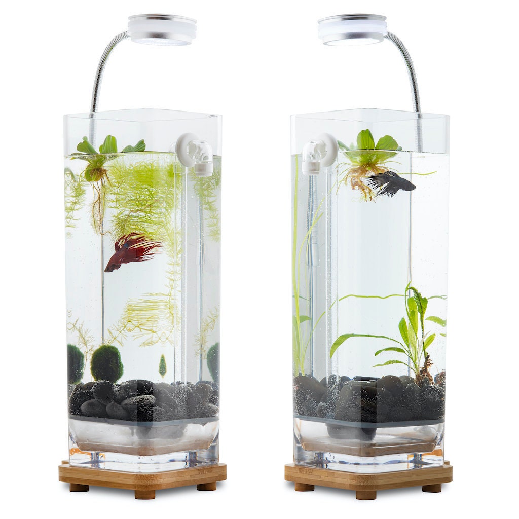 Kaufe Aquarium-Luftpumpen-Sets, Sauerstoff-Luftpumpe mit Schlauch-Luftstein  für Aquarien, batteriebetrieben