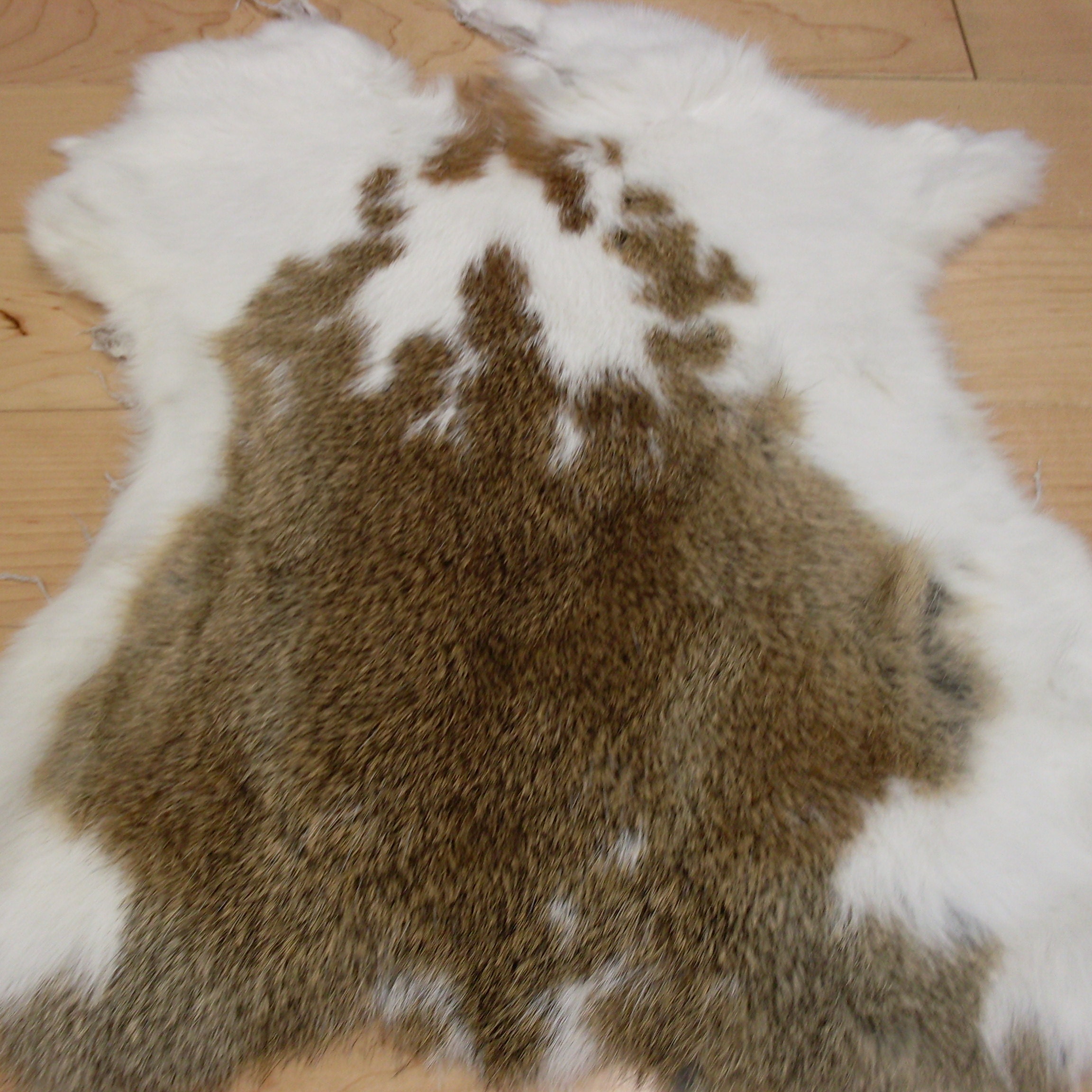 Dry Tanned Domestic Rabbit Pelt [SOLD] by MilkyFoxWhiskers on DeviantArt