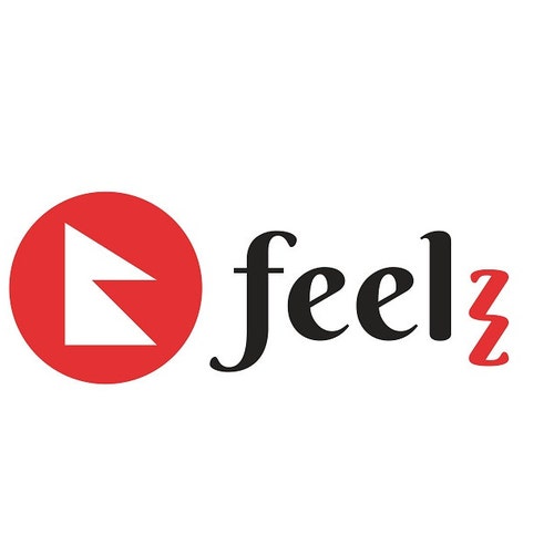 FeelzDeutschland store logo