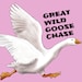 The Great Wild Goose Chase