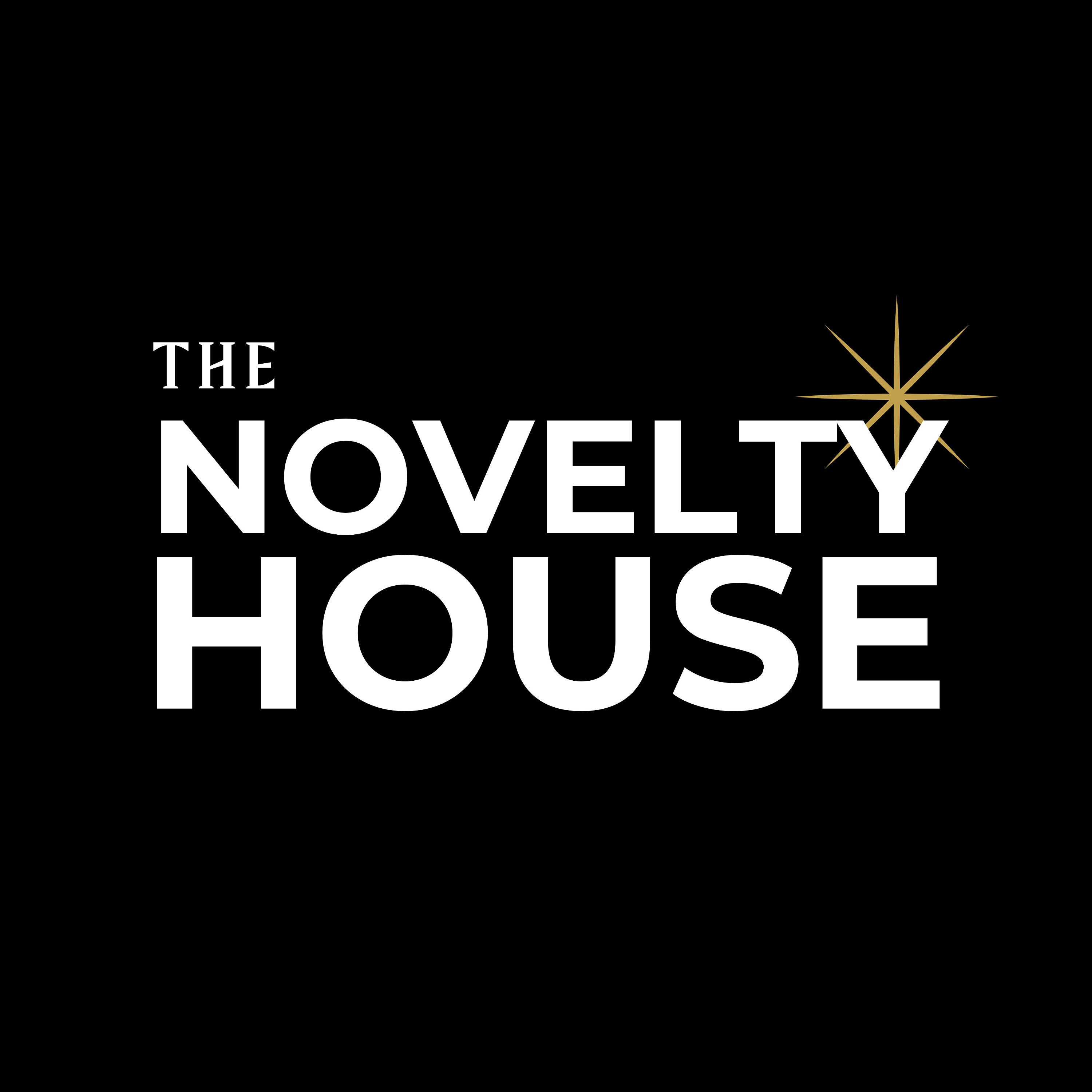 TheNoveltyHouse Etsy