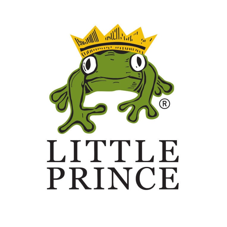LittlePrincePlants Etsy
