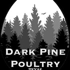 DarkPinePoultryTexas