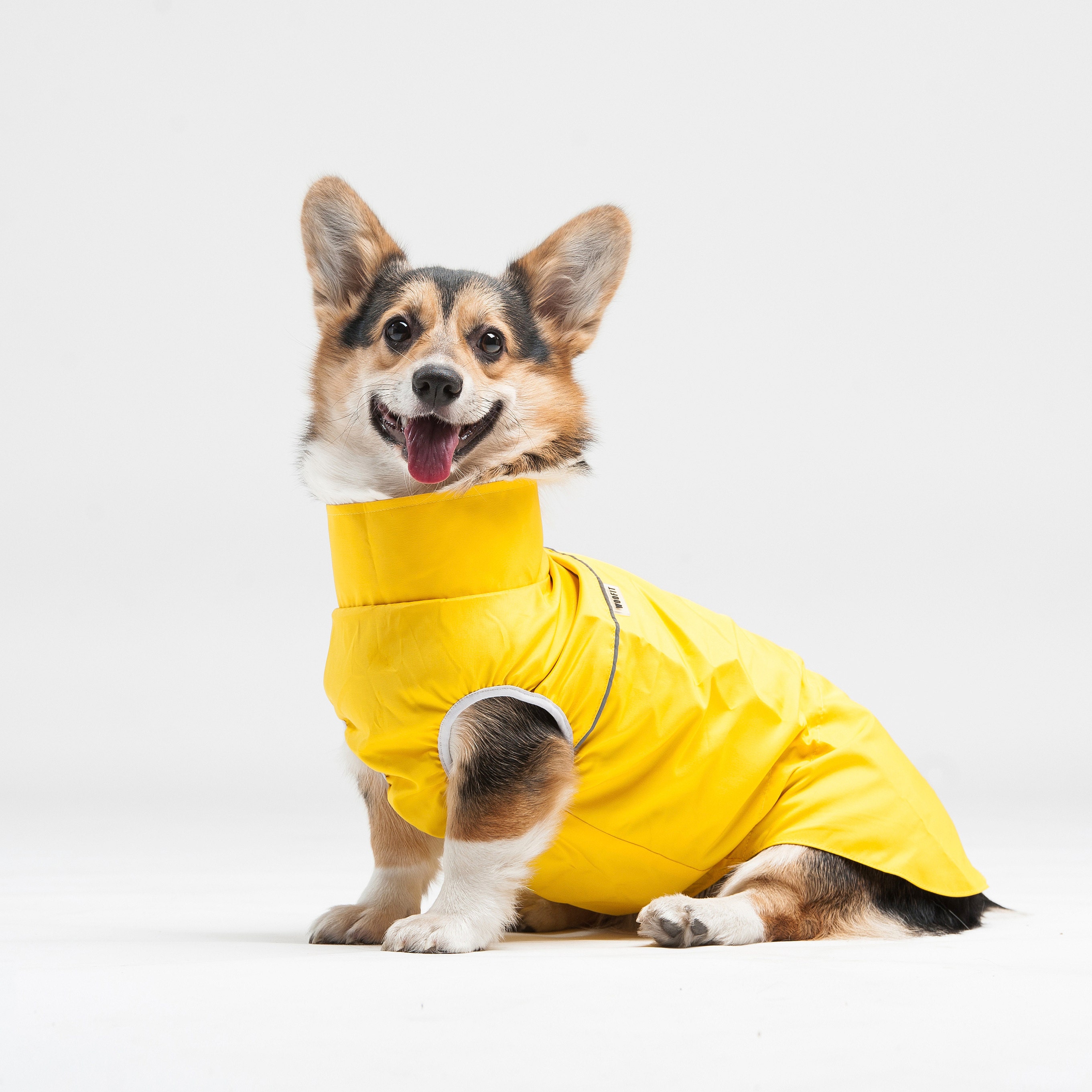 corgi rain jacket