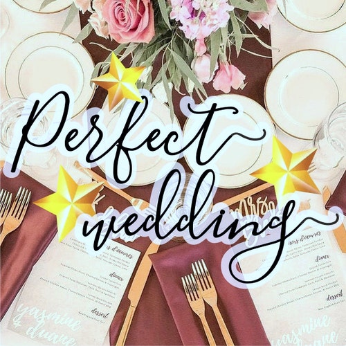 PerfectWeddingLove store logo
