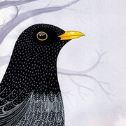 ViktoriaAstrom - Etsy