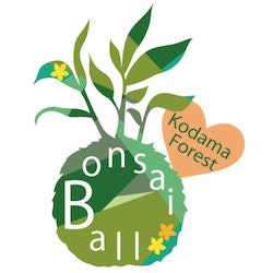 Calathea Pin Stripped Ornata Eye-catching Plant Kokedama Bonsai Moss Ball  House Decor With Japanese Technique Plants 