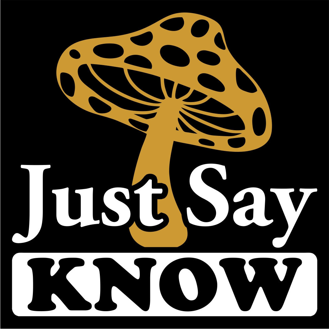 Say know. Say know. Say know. Instead. Say синонимы на английском.