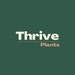 Thrive Plants MCR