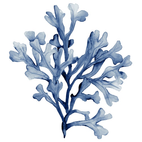 WatercolorBotanicals store logo