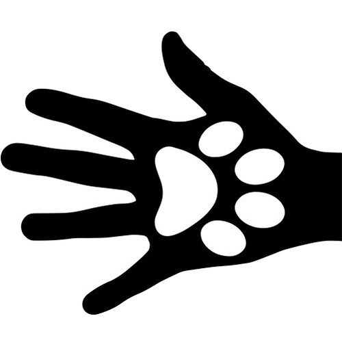 ZAYMACraft store logo