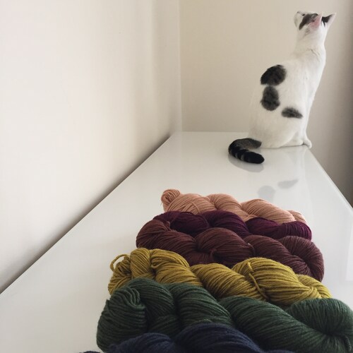 Hand Dyed Yarn Inspired By The Seasons Mahoodly On