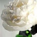 LucyBridalBoutique
