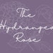 The Hydrangea Rose