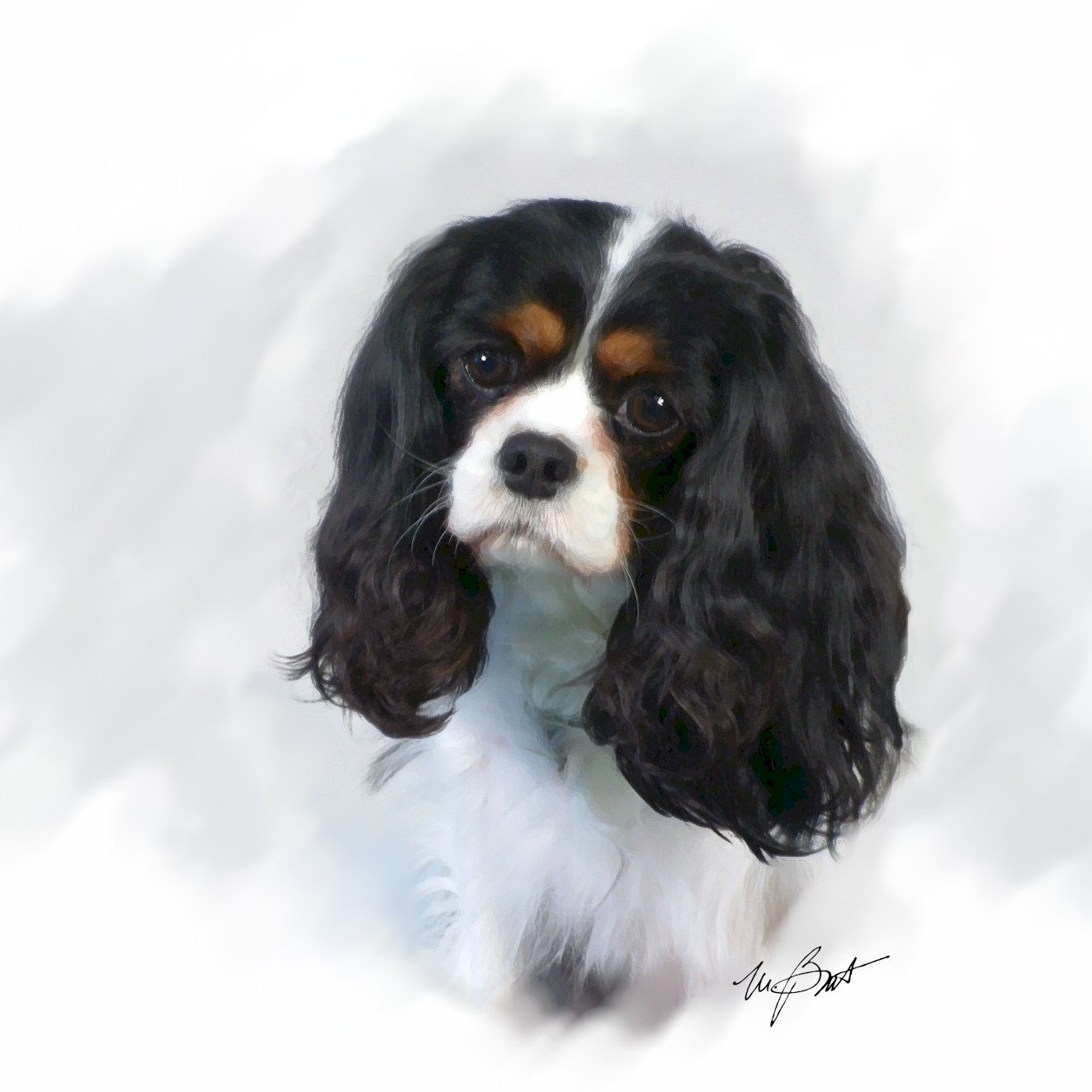 king charles spaniel tricolour