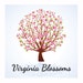 Virginia Blossoms