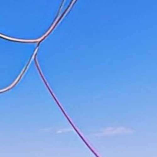 SugarRoseStudios Etsy