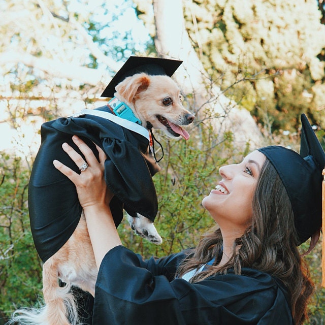 Dog Graduation Cap & Gown Therapy Dog Graduation Cap Graduation Gown