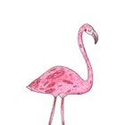 PinkFlamingoEphemera