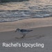 Rachel