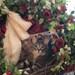 MyDaughtersWreaths