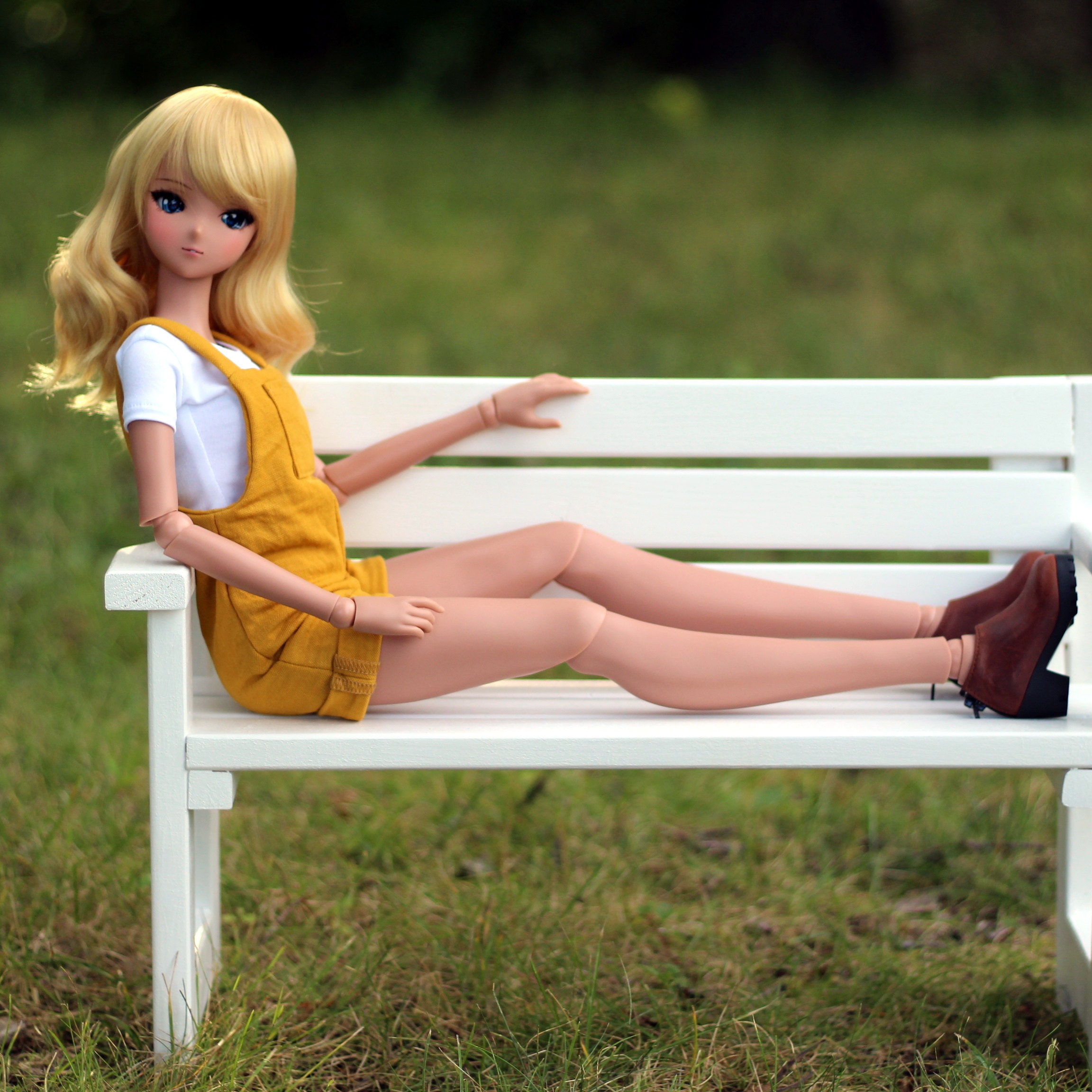 smart doll collection
