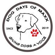 Blind Dog Patch — Dog Days of Maxx