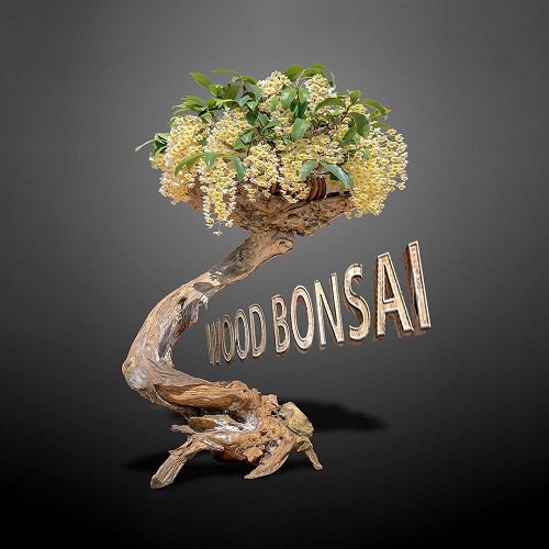 Aquarium bonsai driftwood aquascape fish tank decorations - Etsy 日本